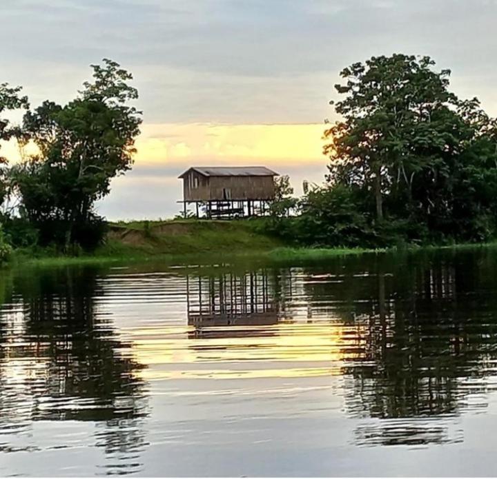 Amazon Gero Tours Hotel Careiro da Varzea Ngoại thất bức ảnh
